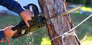 Best Lawn Watering Services  in Willamina, OR