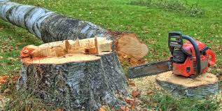 Best Lawn Maintenance Plans  in Willamina, OR