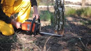 Best Lawn Grading and Leveling  in Willamina, OR