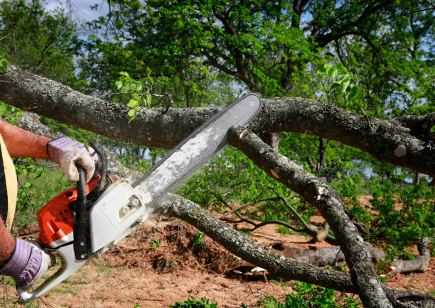 Best Aeration Services  in Willamina, OR